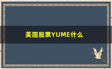 “美国股票YUME什么时候能交易